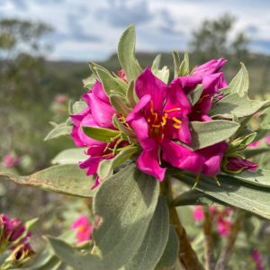 WhatsApp Image 2023-01-02 at 17.21.44 (5)