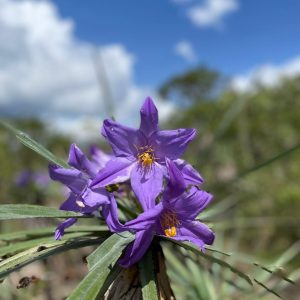 WhatsApp Image 2023-01-02 at 23.06.56 (1)