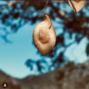 WhatsApp Image 2023-01-02 at 23.11.08