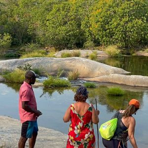 WhatsApp Image 2023-02-26 at 23.59.00