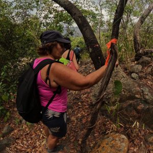 WhatsApp Image 2023-02-26 at 23.59.01