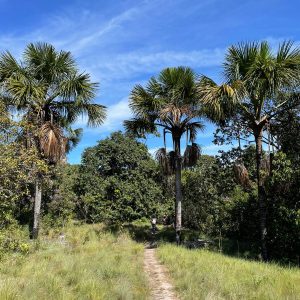 WhatsApp Image 2023-02-26 at 23.59.06 (1)